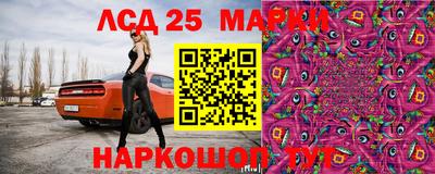 прущие крисы Нальчик