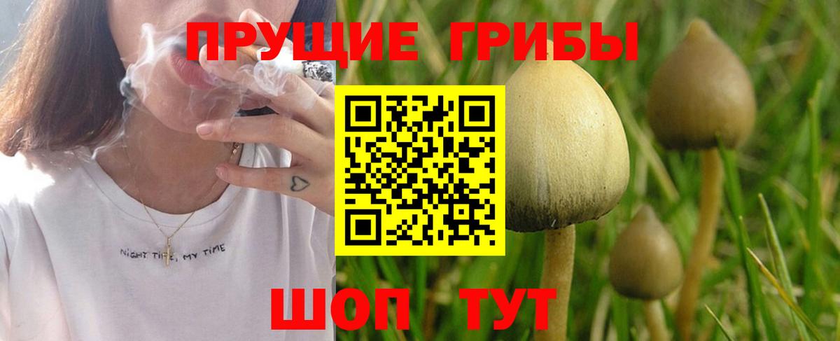 Псилоцибиновые грибы GOLDEN TEACHER Сертолово